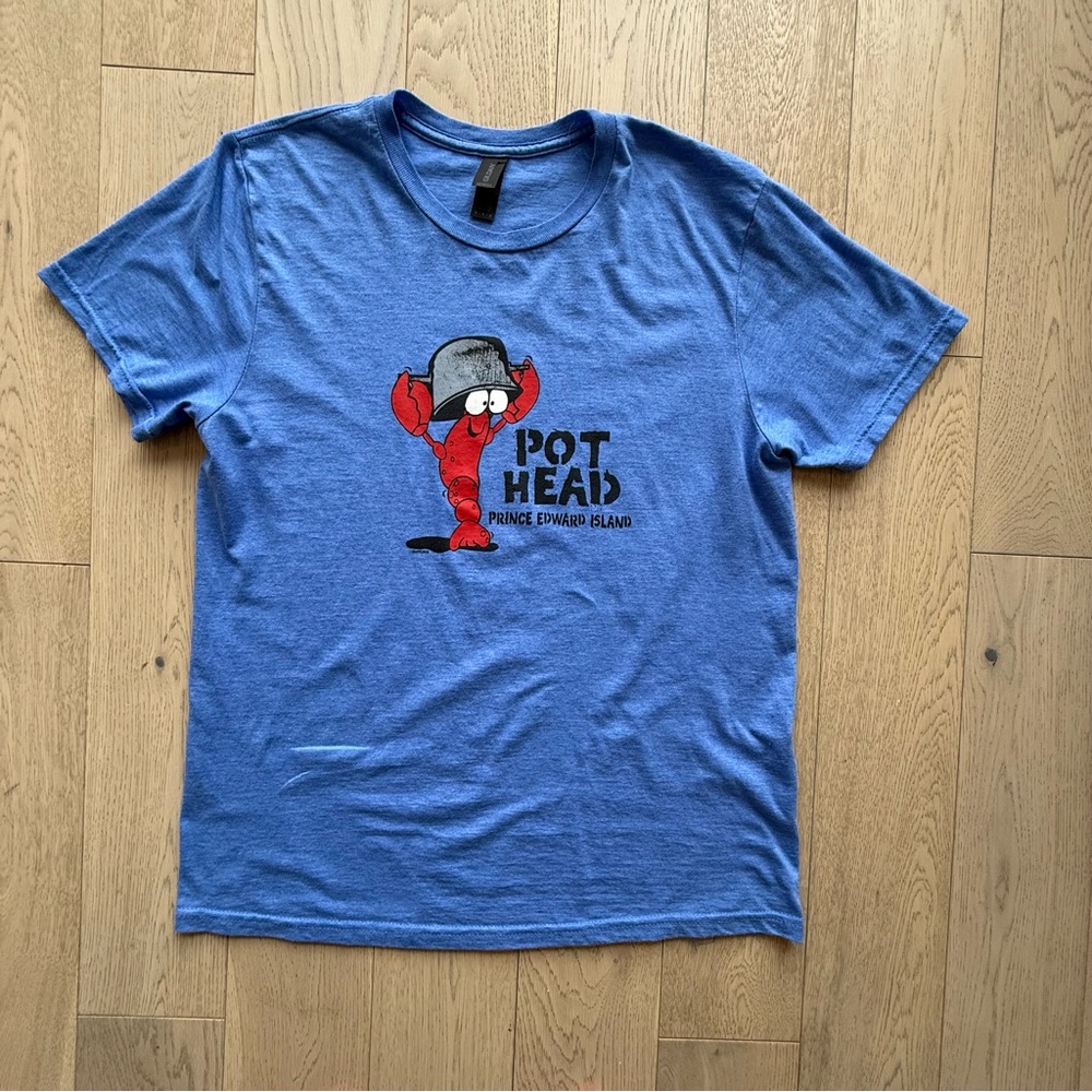 Blue Graphic T-Shirt with Cartoon Print Pot Head PEI Size Medium